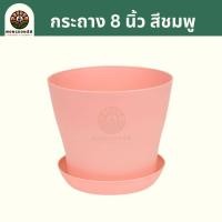 ราคา กระถางต้นไม้ สีชมพู ขนาด 4นิ้ว 5 5นิ้ว 6นิ้ว 8นิ้ว พร้อมจานรอง กระถางพลาสติก กระถางแคตตัส กระถาง กระถางกลม กระถางปลูกต้นไม้ ต้นไม้ (20353106948)
