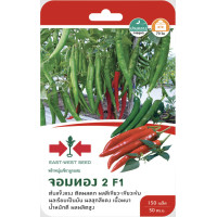 ราคา พริกหนุ่มเขียว จอมทอง2 SD F1 107 ผักซอง ศรแดง F1 พริก East West Seed เมล็ดพันธุ์ผัก เมล็ดพันธุ์ ผักสวนครัว (20115348648)