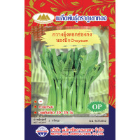 ราคา เมล็ดพันธุ์ กวางตุ้งดอกฮ่องกง นองปิง ตราภูเขาทอง (7886272734)