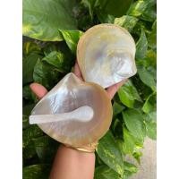 ราคา 1ชุด จาน ช้อน เปลือกหอยมุกจานทองสีเปลือกหอยแท้ธรรมชาติ ขนาด 10 11CM (2935884447)