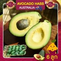ราคา อะโวคาโด อะโวคาโด้ จำนวน 6 ลูก อะโวคาโดสด อโวคาโด้ อโวคาโด นำเข้า AVOCADO HASS AUSTRALIA ผลไม้สด อะโวคาโด ผลไม้ อะโวกาโด อะโวคาโด แฮส (8389094957)