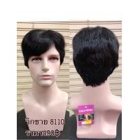ราคา วิกผมชาย วิกชาย ผมผู้ชาย วิกผมผู้ชาย วิกผมสั้นผมผู้ชาย วิกผมชายผมไหมเกาหลีอย่างดีค่ะ (13461333785)