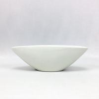 ราคา กระถางแคคตัส กระถางจัดสวนถาด กระถางเซรามิคสีขาวทรงเรือ (7745542399)