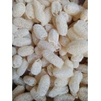 ราคา ใยบวบ ใยบวบจิ๋ว ใยบวบขัดผิว ใยบวบขัดตัว ใยบวบขัดหน้า ยาว 2 2 5 นิ้ว คละ (16543767508)