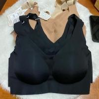 ราคา sabina sbxk108 seamless bra soft เสื้อใน ซาบีน่า แท้ ไร้โครง ทรงสวมหัว กระชับ ไม่อึดอัด ใส่สบายมาก รุ่นป้าย990บาท (22618599594)