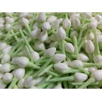 ราคา มะลิทิชชู่หอมขนาดเหรียญ 2บาท 100ดอก (7464157197)