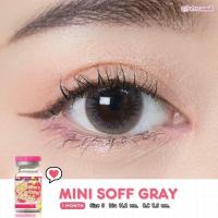 ราคา คอนแทคเลนส์ Mini Soft Gray Brown ยี่ห้อ kitty kawaii ค่าสายตาปกติ 1000 (17283521599)