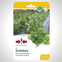 ราคา เมล็ดพันธุ์ ผักชี สายสมร ตราศรแดง (7855597498)
