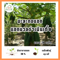 ราคา เมล็ดพันธุ์ มะละกอแขกดำเนินต้นเตี้ย บรรจุ 20 เมล็ด (22838121627)