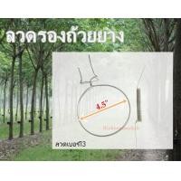 ราคา ลวดรองถ้วยยาง ลวดรัดต้นยาง ลวดยางพารา 4 5 5 100ชุด แพ็ค (1927322232)