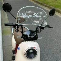 ราคา แผ่นกันลมรถยนต์ไฟฟ้า EMMA อุปกรณ์กันลมบังลมสำหรับรถยนต์ไฟฟ้าแบบย้อนยุคลูกวัวเบอร์9สำหรับฤดูร้อนของตกแต่ง (20648194321)