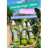 ราคา แชมพูมะกรูด 2in1 2 ขวด SHAMPOO CONDITIONER ออร์แกนิค มะกรูดแท้ 100 ขนาด 250 ml 1 ขวด (22935469141)