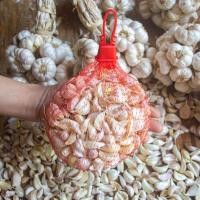 ราคา กระเทียมกลีบไทย กระเทียมกลีบคัดสวย กระเทียมกลีบเล็ก บรรจุ 500 1000 กรัม (21285812641)