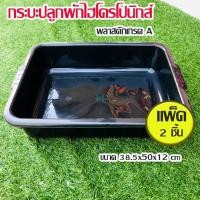 ราคา แพ็ค 2 ชิ้น กระบะปลูกผักไฮโดรโปนิกส์ กระบะพลาสติกสีดำ กระบะเพาะเมล็ด กระบะทรายแมว กะบะดำ กระบะใส่ของ ใส่น้ำได้ homes (8018847217)