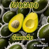 ราคา KAIDEE Avacado อโวคาโด 1กิโลกรัม อโวคาโด้ อะโวคาโด อะโวคาโด้ อาโวคาโด อาโวคาโด้ อโวคาโดสดจากสวนบนดอย เก็บจากสวนทุกวันเน่าเสียรับเคลม อโวคาโด้ อโวคาโด้ อโวคาโด อะโวคาโดสด (22602152517)