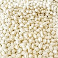 ราคา ถูกที่สุด ดอกพุดร้อยตาข่าย1000ดอก ดอกพุดจีบพลาสติก ดอกพุดดินปั้น พานขันกมากมาลัย กระทง งานฝีมือ (22848569358)