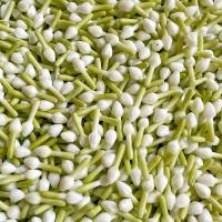 ราคา ถูกที่สุด ดอกพุดร้อยตาข่าย1000ดอก ดอกพุดจีบพลาสติก ดอกพุดดินปั้น พานขันกมากมาลัย กระทง งานฝีมือ (22848569349)