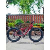 ราคา จักรยานเสือภูเขาล้อโต RICHTER รุ่น CHOPPER (21762007613)