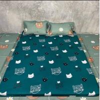 ราคา ที่นอนปิคนิค ขนาด3 5ฟุต 5ฟุตและ 6ฟุต ผ้าคอตตอน 100 (19454344054)