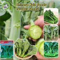 ราคา คะน้าเห็ดหอม คะน้าหวาน คะน้าฮ่องกง ตราลูกโลก Mushroom Kale เมล็ดพันธุ์คะน้า High Yield Chinese Kale Seeds Organic Vegetable Seeds for Planting Chinese Broccoli Seeds เมล็ดพันธุ์ผัก เมล็ดผักต่างๆ เมล็ด