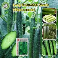 ราคา ปลูกง่าย COD สินค้าดี มีคุณภาพ เมล็ดพันธุ์แตงกวา เมล็ดแตงกวาญี่ปุ่น Japanese Cucumber Seed Organic Vegetable Seeds for Planting เมล็ดแตงกวา เมล็ดพันธุ์ OP แท้ เมล็ดผักสวนครัว ผักออร์แกนิก F1 เมล็ดพัน 