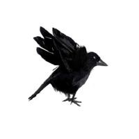 ราคา ERHANA 1 ชิ้น เทียม เทศกาล DIY ของเล่นที่น่ากลัว สีดำ อีการุ่น อีกาปลอม ตกแต่งฮาโลวีน อุปกรณ์ประกอบฉากสยองขวัญ (22821538245)