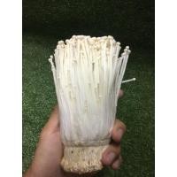 ราคา สดจากสวน เห็ดเข็มทองสด เห็ดหอมอร่อย ผักผลไม้ ราคาถูก ราคาส่ง (21015841576)