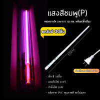 ราคา หลอดไฟงานวัดT8 30ชุด หลอดไฟงานวัดLED พร้อมปลั๊ก T8 ไฟงานวัด หลอดนีออนสี หลอดไฟงานวัด (19652062431)