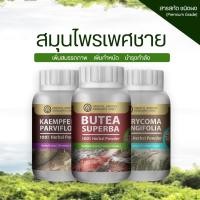 ราคา สมุนไพรบำรุงร่างกาย กวาวเครือแดง กระชายดำ รากปลาไหลเผือก 100 เกรดพรีเมี่ยม สารสกัดสมุนไพร ชนิดผง ขนาด 50 กรัม (21603544048)