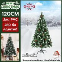 ราคา ต้นคริสต์มาส ต้นคริสมาสต์ มีลูกสนลูกบอลสีแดง 1 2 1 5 1 8 2 1เมตร ต้นไม้คริสต์มาส PE PVC จำลอง ต้นคริสต์มาส ตกแต่งเทศกาลคริสต์มาส christmas tree (22980305954)