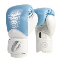 ราคา Huieson นวมต่อยมวยนวมต่อยมวยสำหรับเด็กอุปกรณ์ฝึกซานดาเด็กชายเด็กหญิงพ่อแม่ลูก (22175130563)