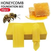 ราคา แผ่นรังเทียม แผ่นผึ้งเทียม รังผึ้งเทียม รังเทียมเลี้ยงผึ้ง สำหรับผึ้งโพรงไทย อุปกรณ์เลี้ยงผึ้ง (22937852229)
