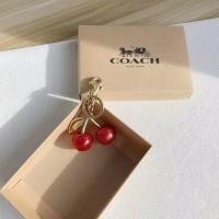 ราคา Keychain bag Cherry special accessory equipment bag (20767970599)