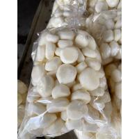 ราคา สดใหม่จากฟาร์ม แห้วสด ปอกเปลือก 1 กก ราคาถูก ราคาส่ง (21037531304)