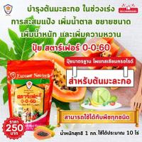 ราคา มะละกอ ผลใหญ่ ผลดก ขยายขนาด เพิ่มน้ำหนัก เพิ่มคุณภาพ ผลผลิต ด้วย ปุ๋ยโพแทสเซี่ยมคลอไรด์ สตาร์เฟอร์ 0 0 60 (21678490932)
