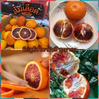 ราคา ส้มเลือด มีกลูต้า วิตามินซีสูงมาก 1kg จากประเทศออสเตรเลีย blood orange (20829958365)
