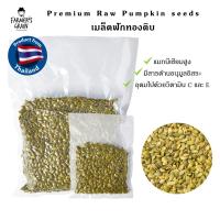 ราคา เมล็ดฟักทองดิบ Raw Pumpkin seeds 100 200 500 1000 g ประเทศไทย (21594798602)