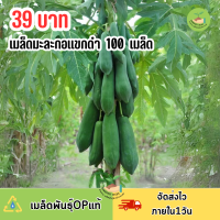ราคา เมล็ดมะละกอแขกดำ บรรจุ 100 เมล็ด (22838776058)