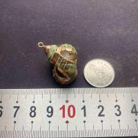 ราคา จี้เปลือกหอยสังข์ธรรมชาติ จี้หอยชุบทอง seashells pendant gold plated pendant (22396746204)