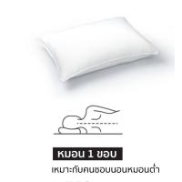 ราคา FN CUSHY หมอน หมอนเย็น หมอนหนุนเย็น รุ่น Cooling Air Tech สไตล์โรงแรม 5 ถาวร นุ่มสบาย ระบายอากาศได้ดี (22827283444)