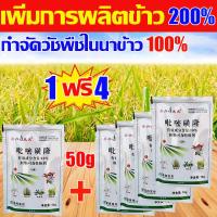 ราคา วัชพืชในนาข้าวก็ตายไปหมดแล้ว ยาฆ่าหญ้าในนาข้าว 10 กรัม ซื้อ1แถม4 ยาฆ่าหญ้าในนา กำจัดวัชพืชในนาข้าวได้ 99 1ชุด ผสมน้ำ60catties คุมฆ่าในนาข้าว เห็นผลรวดเร็ว ระยะเวลานาน ยาคุมหญ้าข้าว 50ปีไม่มีวัชพืชขึ้ 