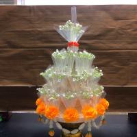 ราคา พุ่มกฐิน พุ่มเงิน พุ่มผ้าป่า โครงพุ่มเงิน (22815042013)