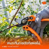 ราคา PUMPKIN กรรไกรตัดกิ่งไม้ ขนาด 8 นิ้ว กรรไกรตัดตกเเต่งสวน ใบมีด SK5 ญี่ปุ่น PTG NSK5 33533 (22607284617)