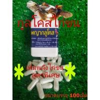 ราคา กลูโคสไก่ชน ขนาด 100แคปซูลทำให้ไก่สดชื่น ยาไก่ชน ยาโด๊ปไก่ชน ยาบำรุงไก่ชน (22207654256)