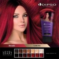 ราคา ดิ๊พโซ่ ซุปเปอร์ซายน์ แฮร์คัลเลอร์ แว๊กซ์ DIPSO Super shine hair color wax น้ำยาเปลี่ยนสีผม ผลิตภัณฑ์เปลี่ยนสีผม ขนาด 150 ml พร้อมส่ง (22689364912)