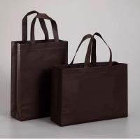 ราคา ถุงผ้าสปันบอนด์ ขนาด 37x30 ซม แพ็ค 10ใบ ถุงสปันบอนด์ ถุงผ้าสปัน กระเป๋าสปัน กระเป๋าสปันบอนด์ ลดโลกร้อน แนวตั้ง ขยายก้น (22958964899)