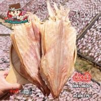 ราคา หมึกผ่าหนังเรือ 9 นิ้ว เนื้อหนาหวาน หอม ไม่เค็ม (19009505321)