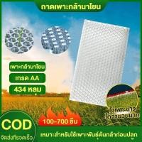 ราคา ถาดเพาะกล้านาโยน Seedling tray แพ็ค 1 1000 ชิ้น 434 561 หลุม เกรดA ถาดนาโยน ถาดเพาะกล้า ถาดเพาะต้นข้าว ถาดเพาะนาโยน เพาะกล้าข้าว (22885389757)