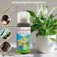 ราคา แซมพูสมุนไพรคุณยาย17ชนิด สร้าง เซล ผม ใหม่ ของ แท้ จาก บริษัท 100 สินค้าพร้อมส่ง (15917406305)