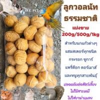 ราคา Walnut ลูกวอลนัทสำหรับสัตว์เลี้ยง วอลนัทอบแห้ง สำหรับนกแก้ว กระรอก หนูต่างๆ แบ่งขาย200g 500g 1kg (22222907341)